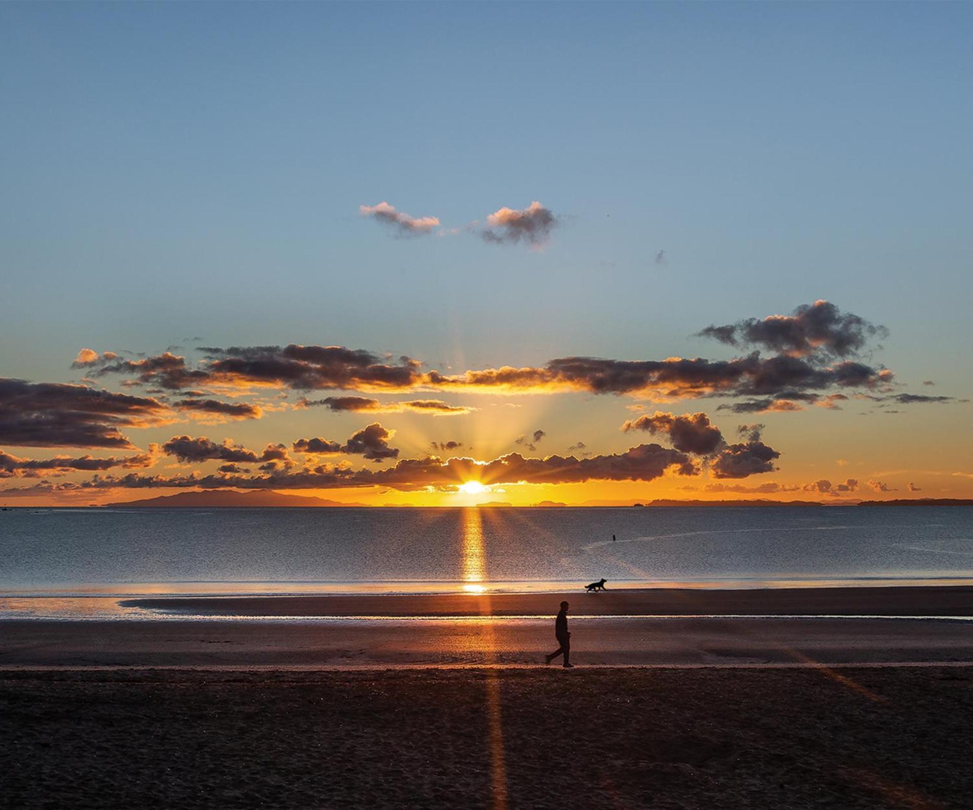 7Br 3Bh Beach Escape. 2 Min To Browns Bay Beach Auckland Eksteriør billede